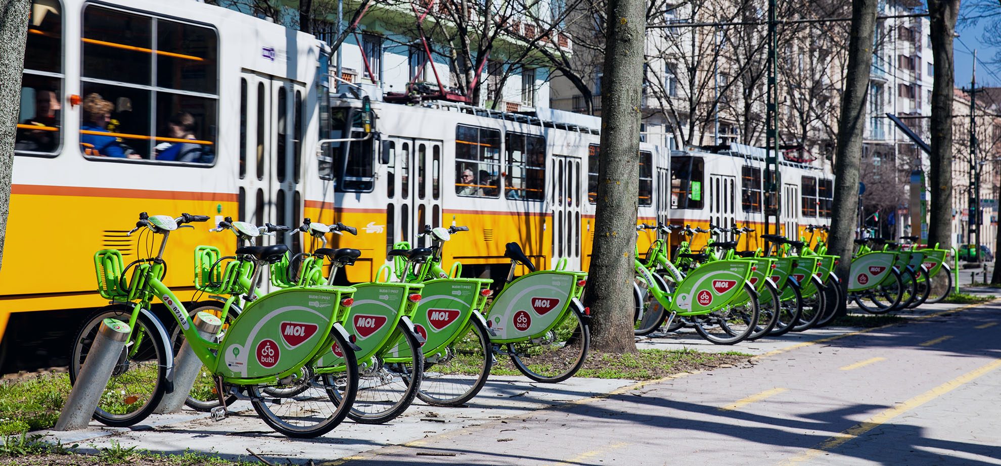 top-image-sectors  copy